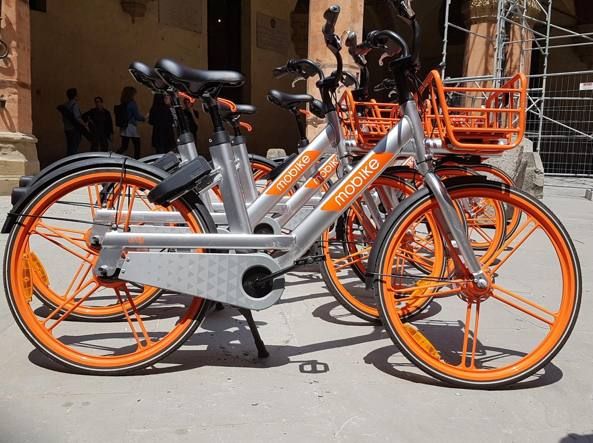 Alla scoperta di Bologna in sella ad una bicicletta